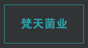 食品行业连云港海州区工作服设计款式